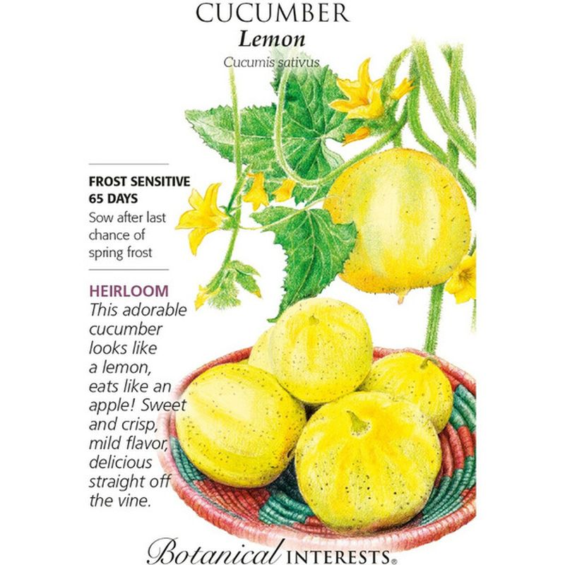 Botanical Interests Lemon Cucumber Seeds