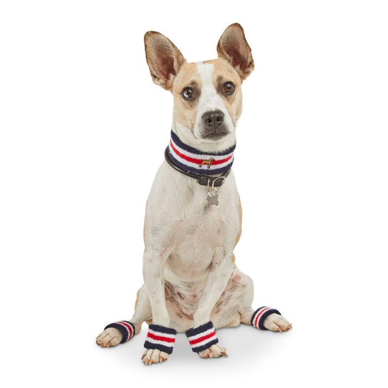 Bond & Co. Small to Medium Palm Springs Sweatband Set