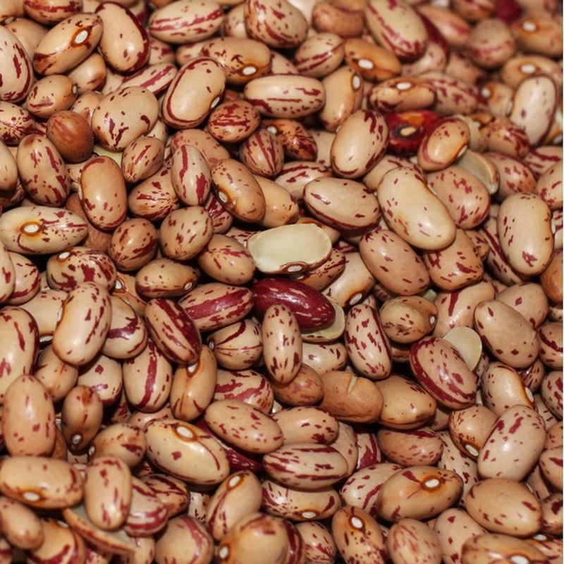 Dried Cranberry Beans (per lb) Instacart