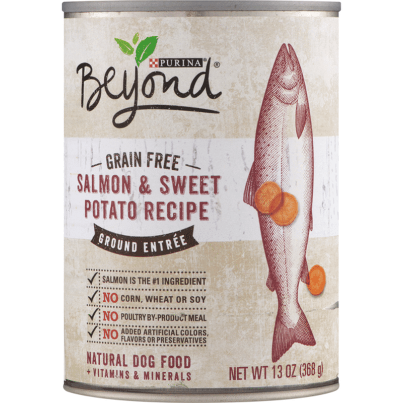beyond salmon dog food