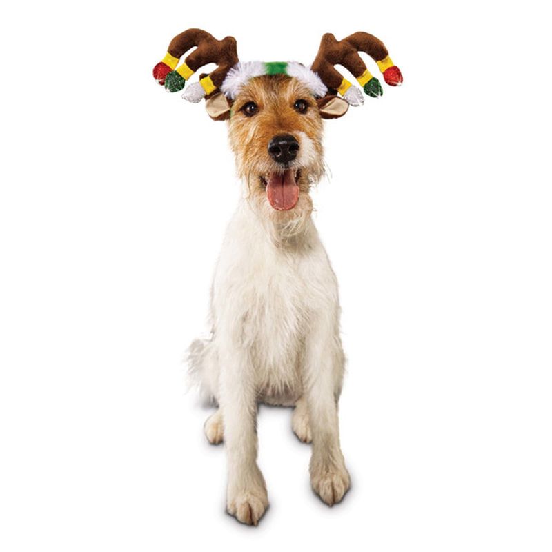 Holiday Large / Extra Large Antler