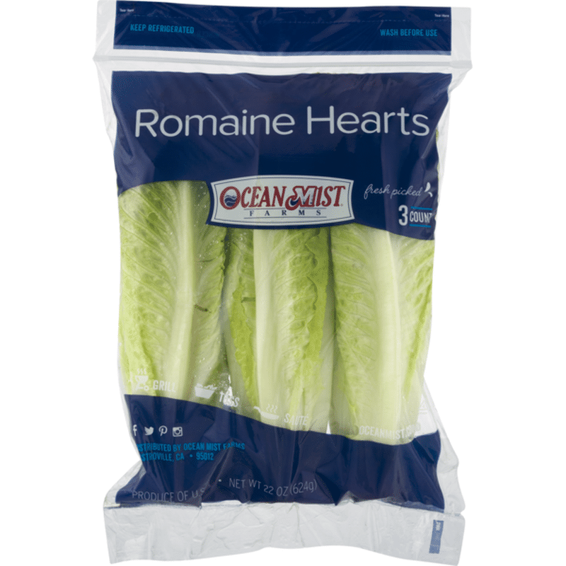 romaine hearts vs iceberg lettuce