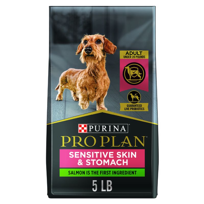 Dog Food For Sensitive Stomach Reddit at Amy Olivo blog