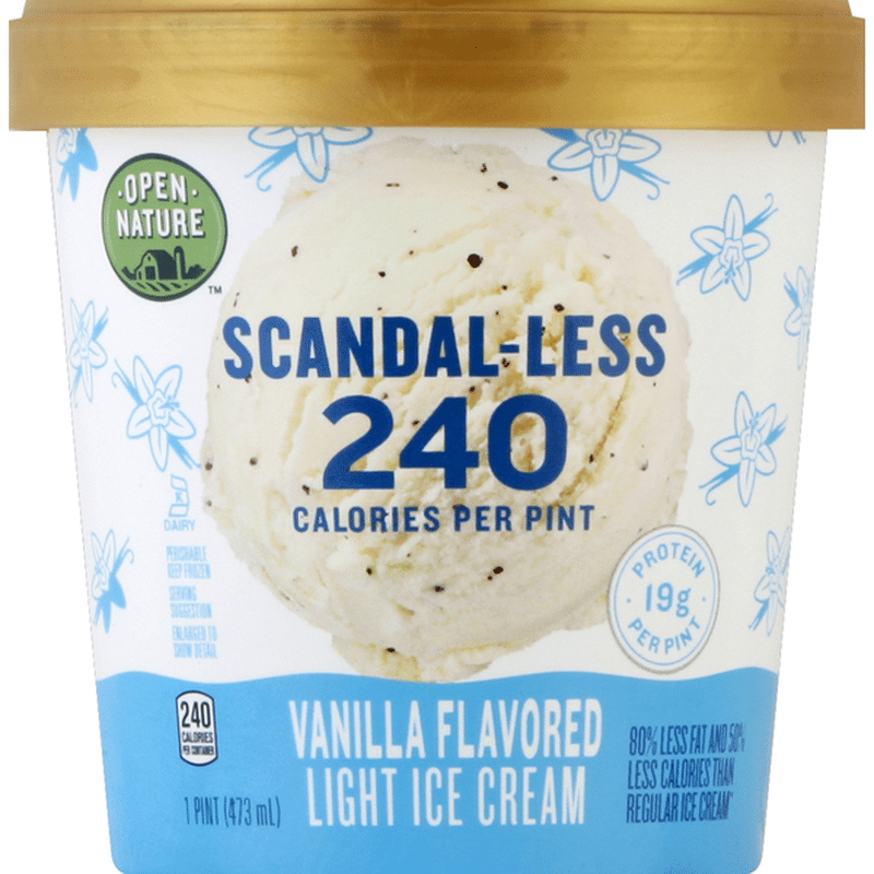 Open Nature Ice Cream Light Vanilla Flavored 1 Pt Instacart