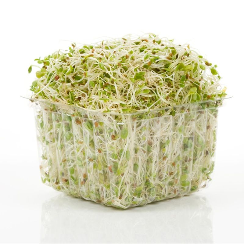 Wild About Sprouts Sprouts, Amazing Alfalfa (3 oz container) Instacart