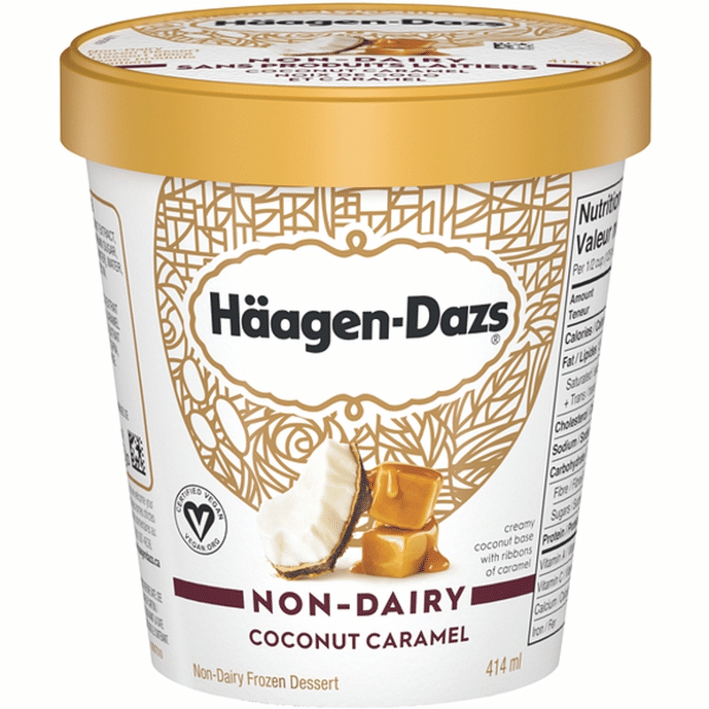 Haagen-Dazs Non-Dairy Coconut Caramel Ice Cream