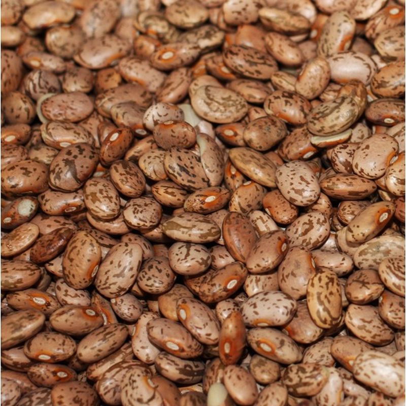 Organic Dried Pinto Beans (each) Instacart