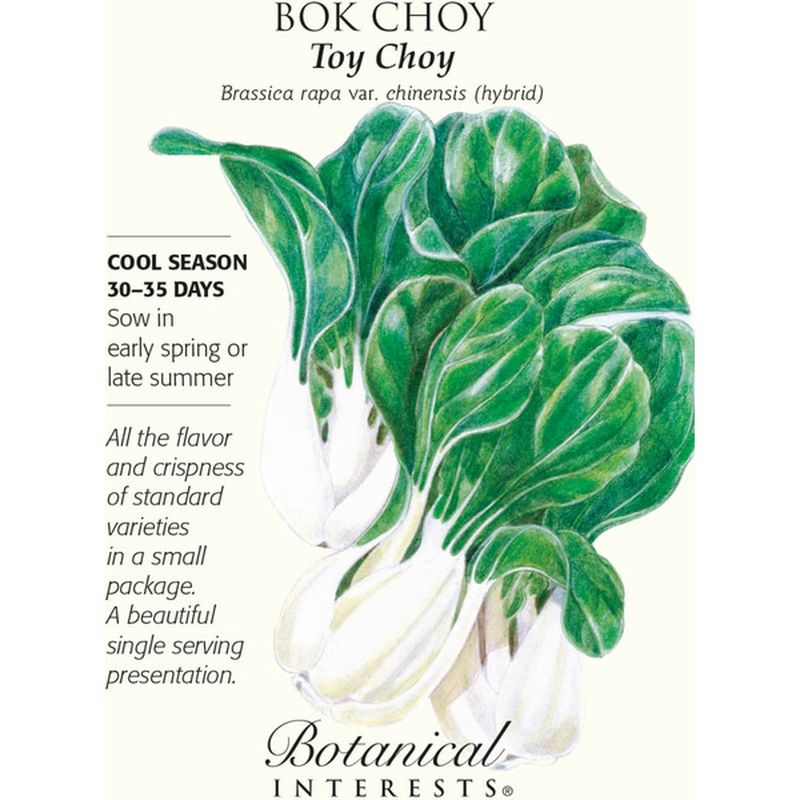 Hirt's Gardens Toy Choy Bok Choy Seeds