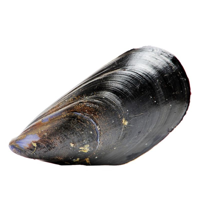 Fresh Black Mussels (per lb) Instacart