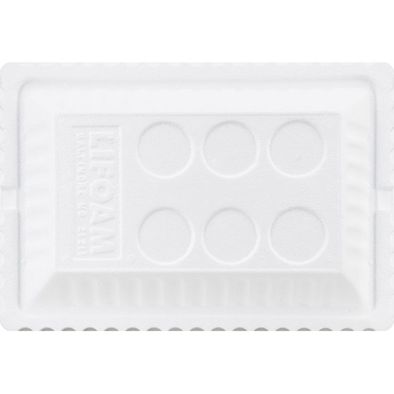 lifoam cooler 24 can