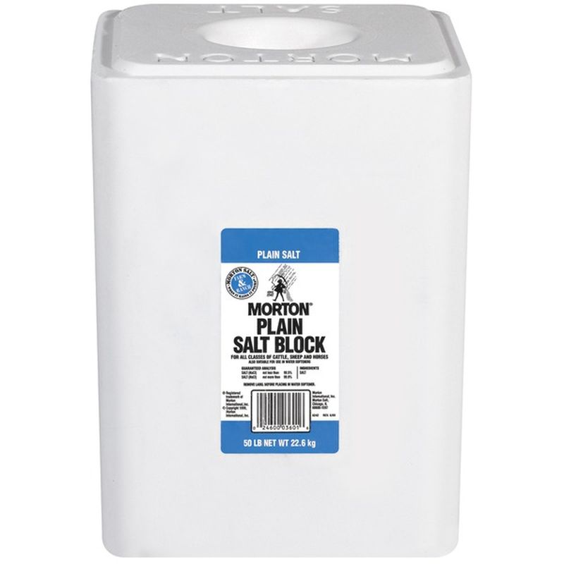 Morton Plain Salt Block (50 lb) Instacart