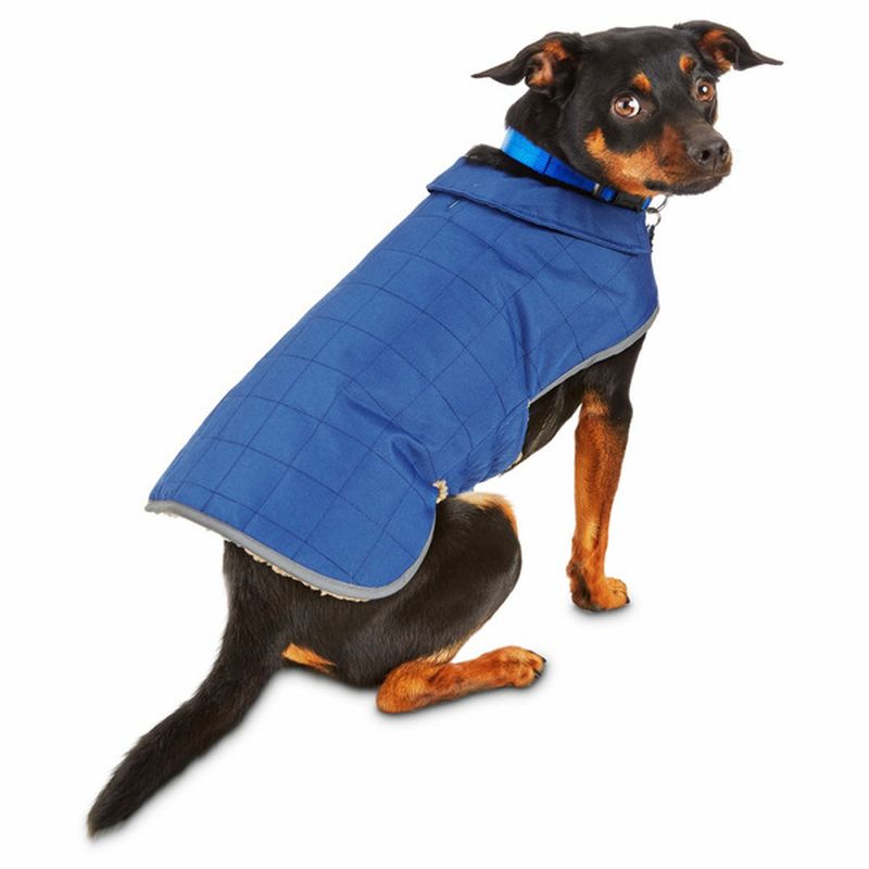 Good2 Go Barn Dog Coat - Black - L/XL