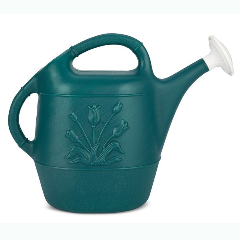 United Solutions Hunter Green Watering Can