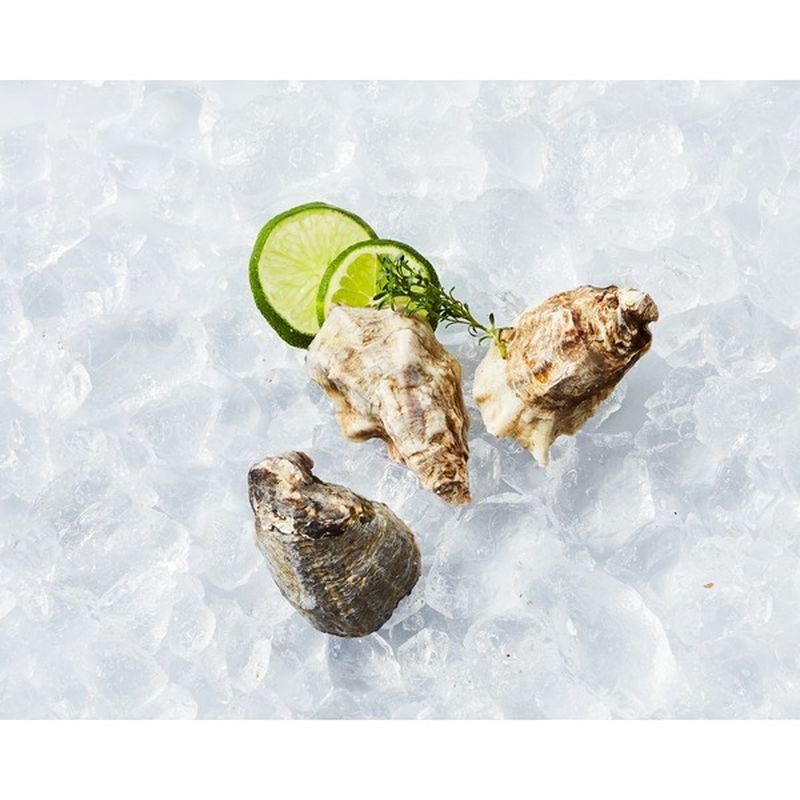 Jolly Roger Fresh Pacific Oysters (8 oz) from Safeway Instacart