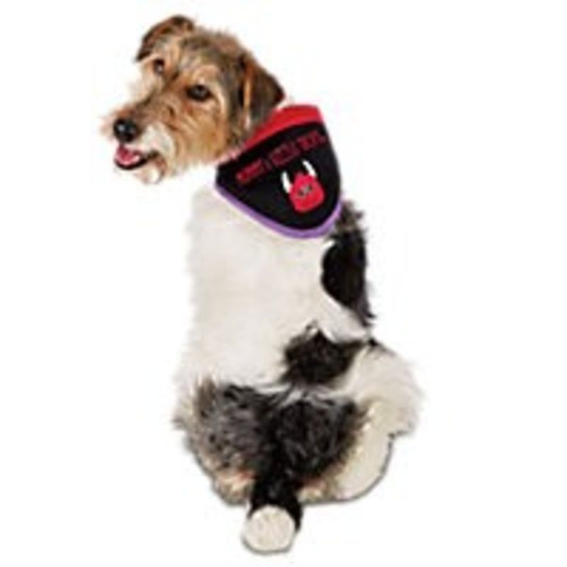 Halloween Large/Extra-Large Devil Bandana