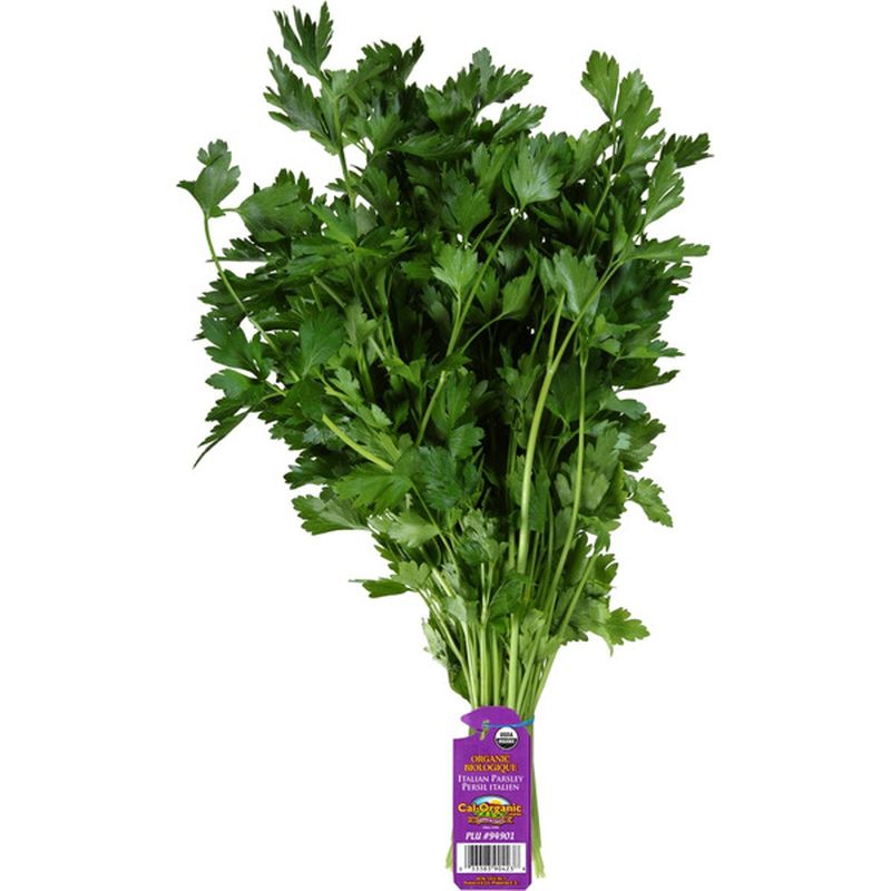 Foxy Organic Italian Parsley