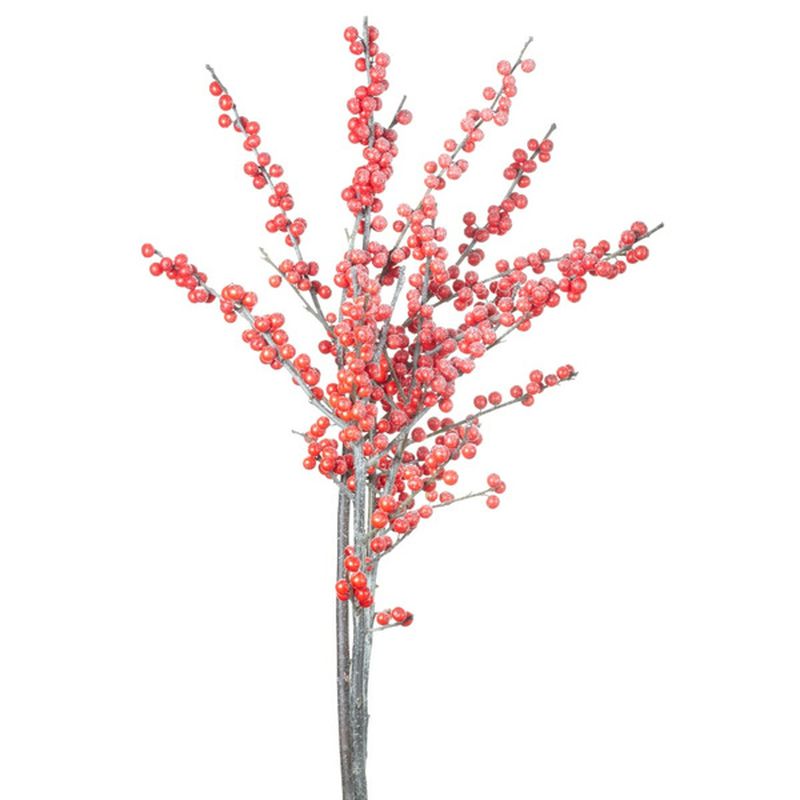 From Our Garden 5 Stem Red Ilex
