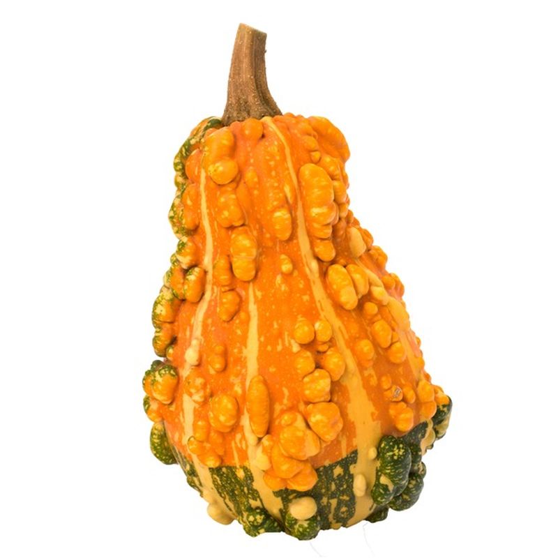 Organic Ornamental Gourd (1 lb) Instacart