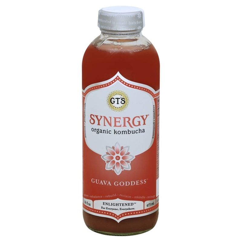 synergy kombucha ginger