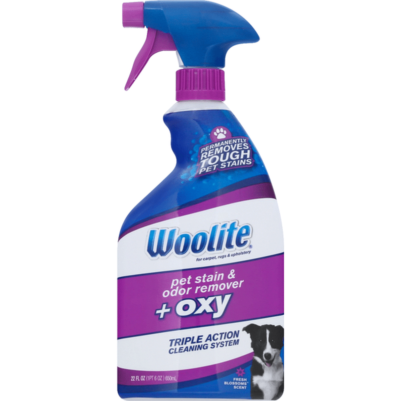 Woolite Pet Stain & Odor Remover + Oxy, Fresh Blossom Scent (22 fl oz