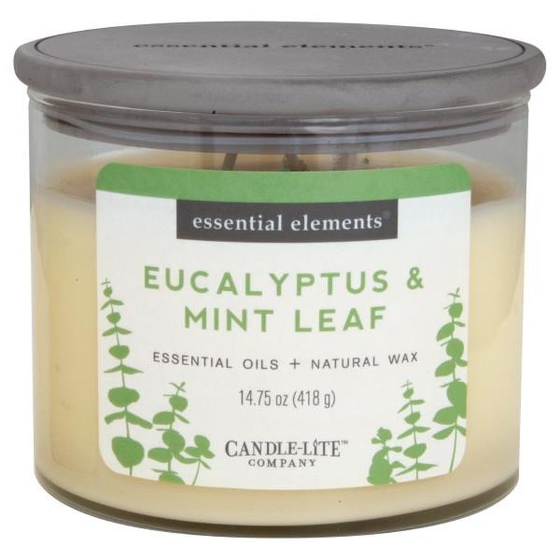 Candle Lite Candle, Eucalyptus & Cucumber (14.75 each) Instacart
