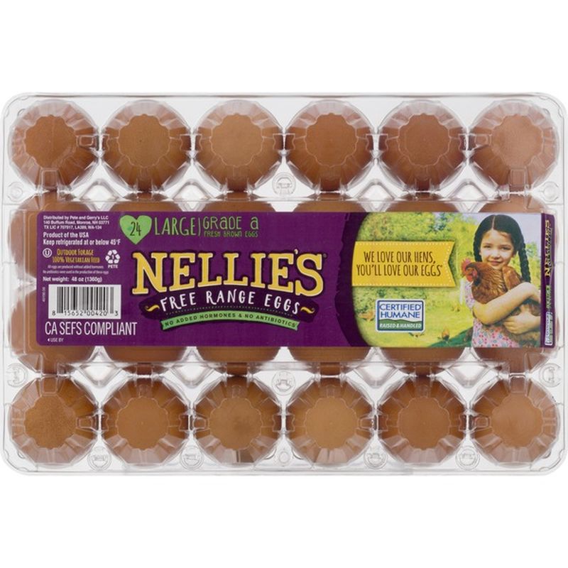 Nellie's Free Range Eggs Large Grade A Fresh Brown (24 ct) from Sam's