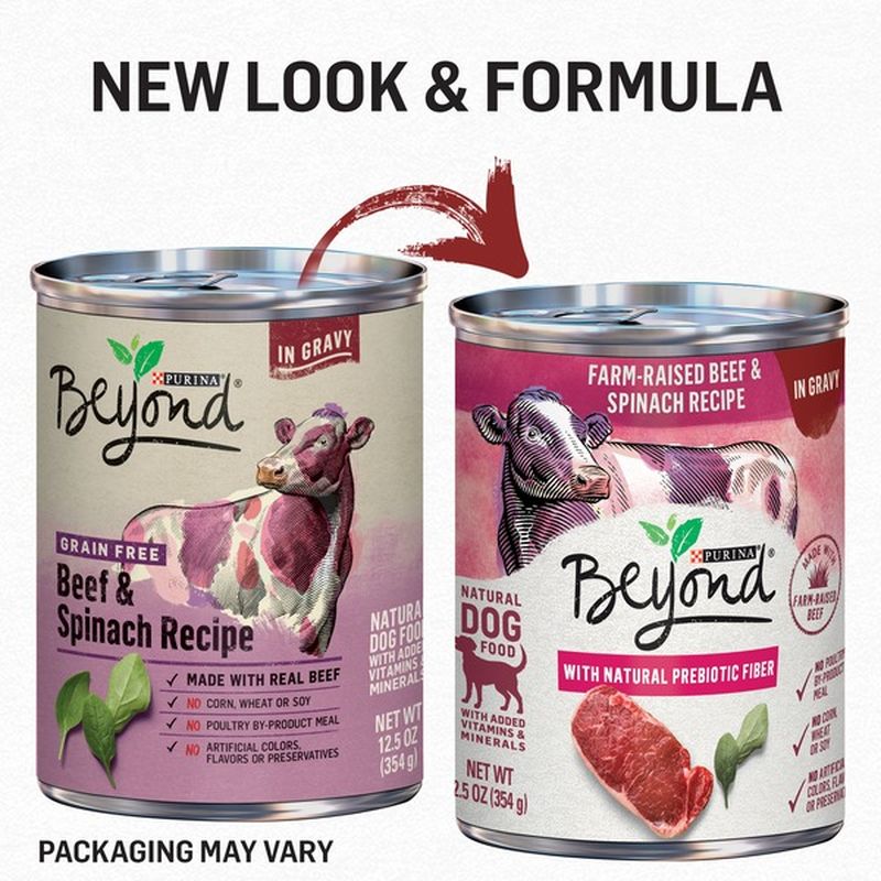 Purina Beyond Grain Free, Natural Gravy Wet Dog Food, Grain Free Beef