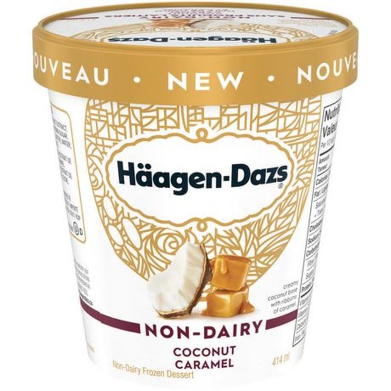 Haagen-Dazs Non-Dairy Coconut Caramel Ice Cream (414 ml) - Instacart