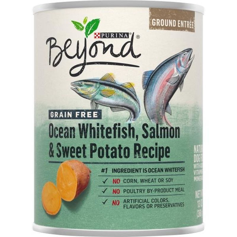 beyond salmon dog food