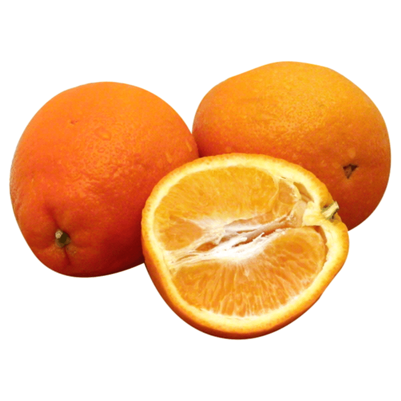 Bee Sweet Minneola Tangelos
