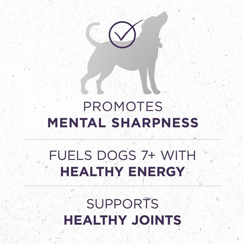 purina one for senior dogs