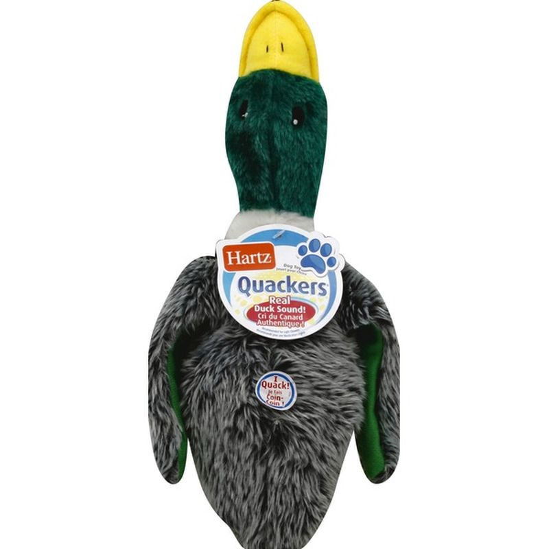 hartz duck dog toy