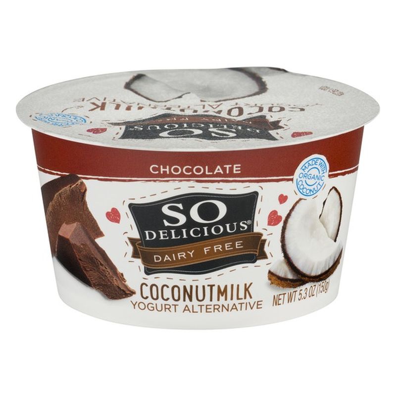 So Delicious Dairy Free Chocolate Coconutmilk Yogurt (5.3 oz) - Instacart