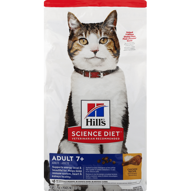 hills prescription diet cat food kidney care