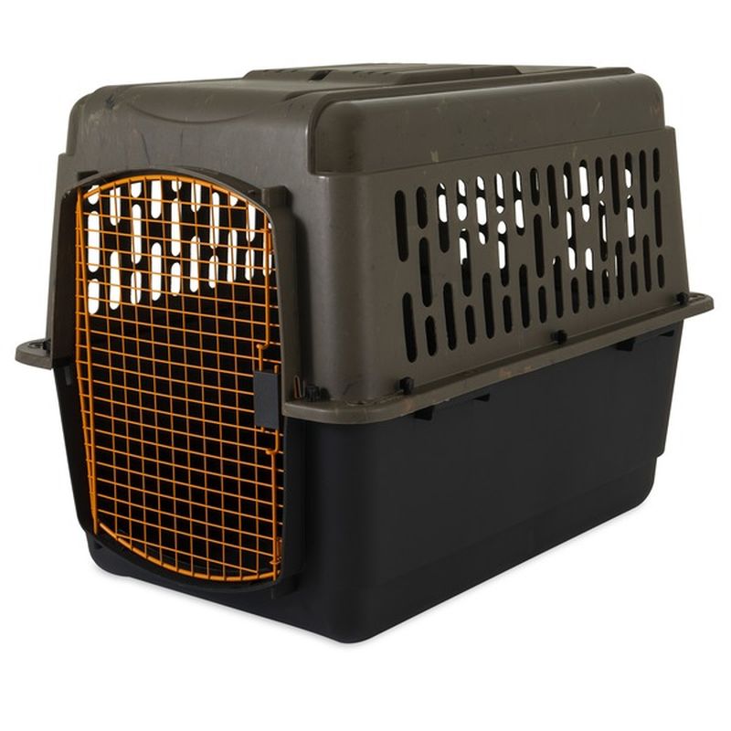 orange dog crate