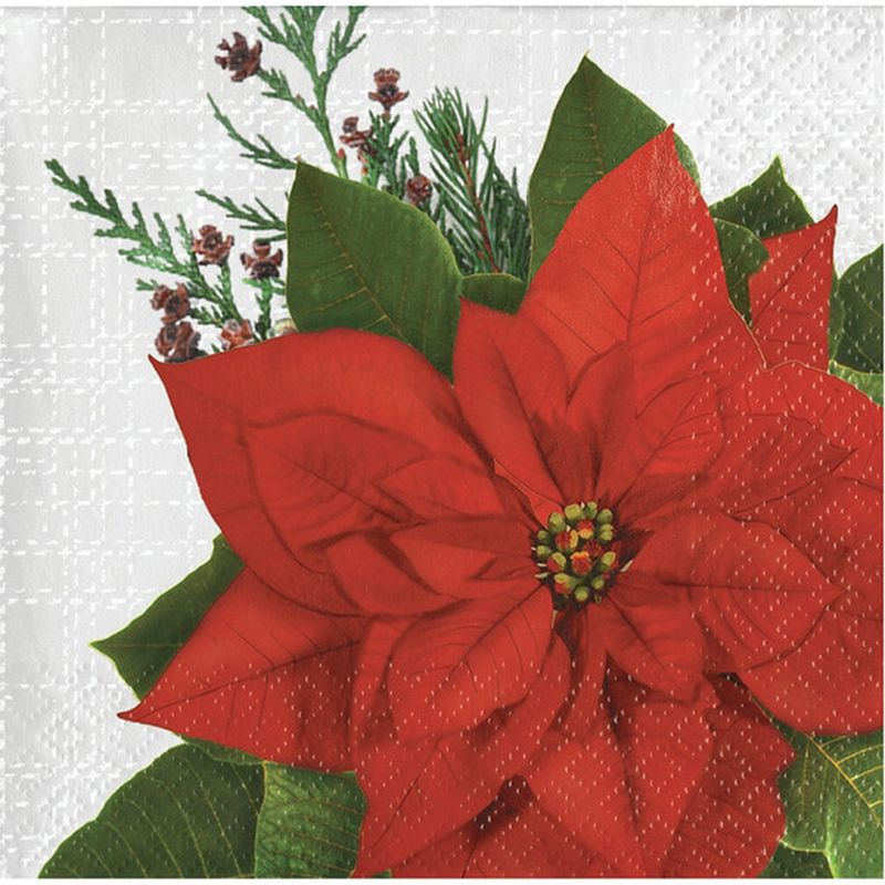 Creative Converting Red Green White Poinsettia & Pine Tree Beverage Napkin