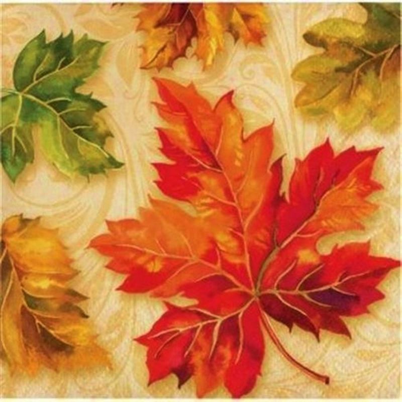 Creative Converting 2-Ply Fall Flourish Beverage Napkins