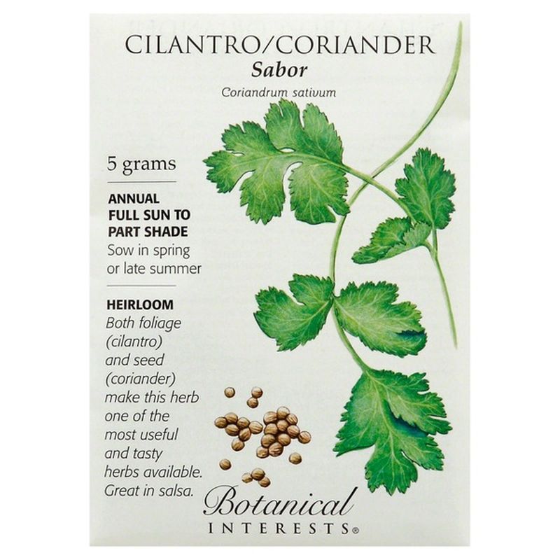 Botanical Interests Cilantro Coriander