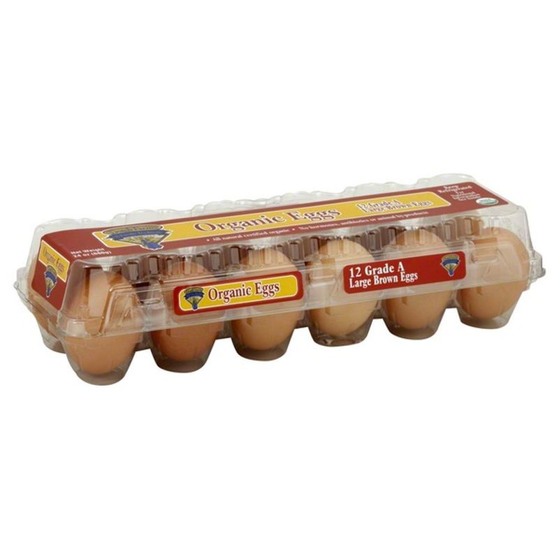 Dutch Farms Grade A Large Brown Organic Eggs 12 CT (12 ct) Instacart