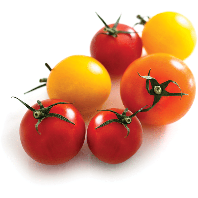 Mexico Pintup Bulk Organic Mixed Tomato Cherry in