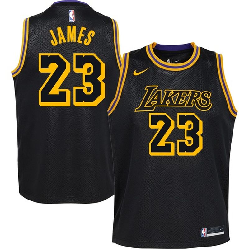 lebron lakers jersey stitched