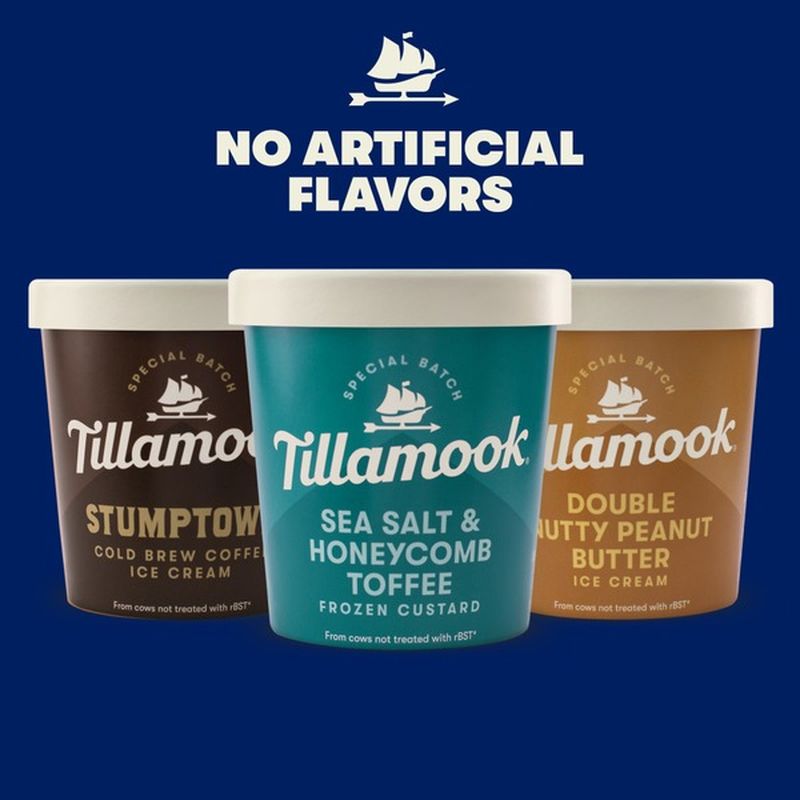 Tillamook Double Nutty Peanut Butter Ice Cream (15.5 oz) - Instacart