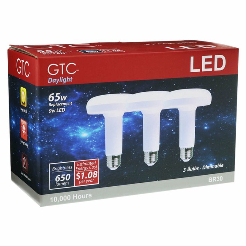 GTC BR30 LED 65 Watt 650 Lumens Daylight Bulb
