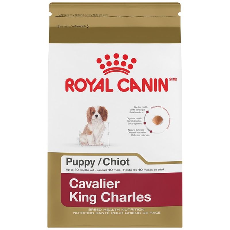 royal canin puppy cavalier