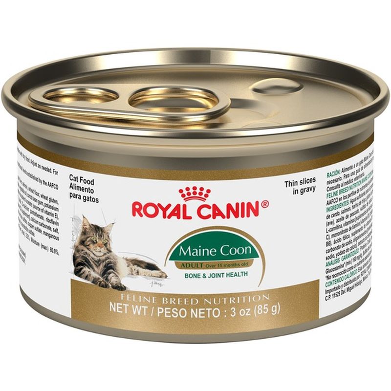 Royal Canin Feline Breed Nutrition Adult Maine Coon Thin Slices in ...