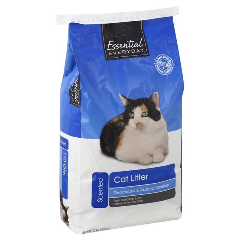 Essential Everyday Cat Litter, Scented (10 lb) Instacart