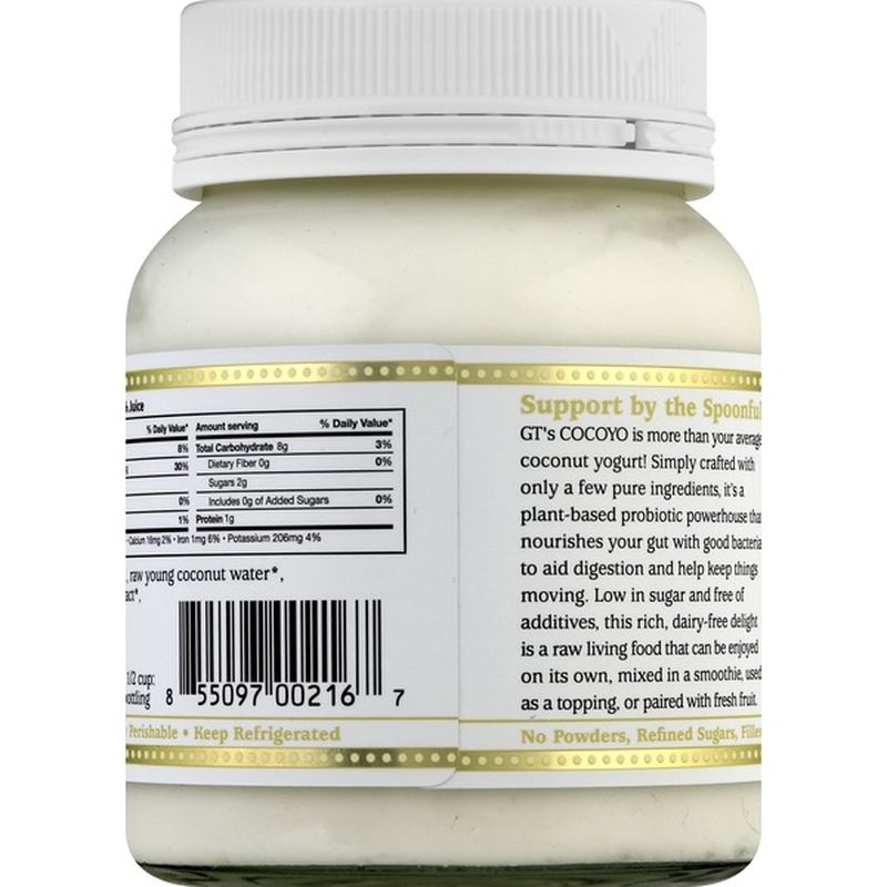 GT's Cocoyo Yogurt, Living Coconut, Vanilla (8 oz) Instacart