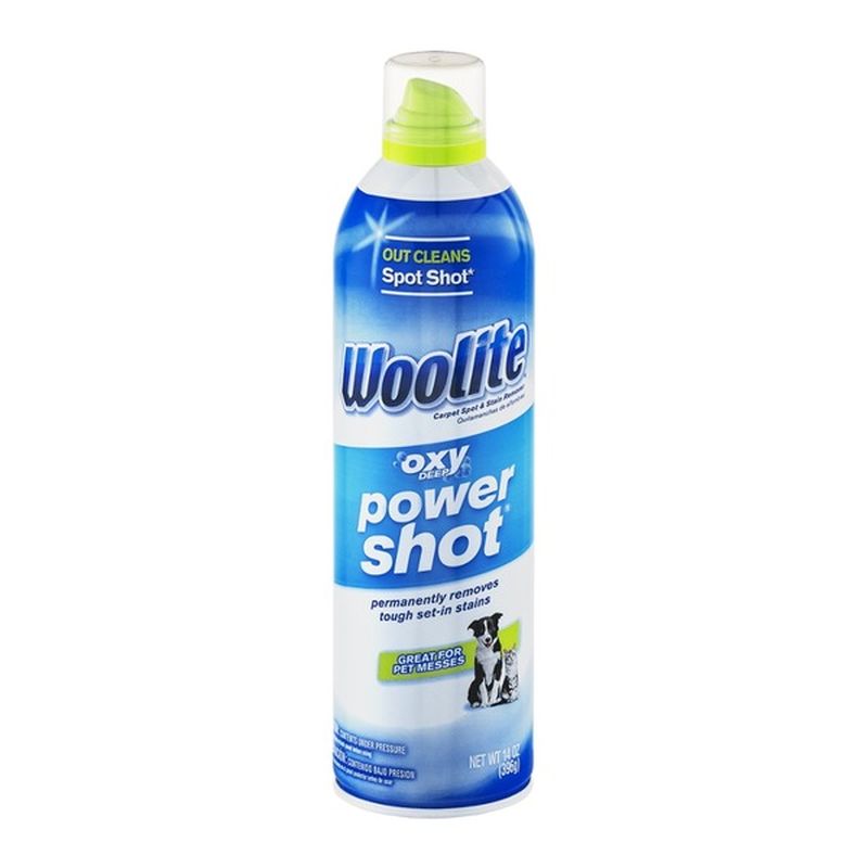 Woolite Carpet Spot & Stain Remover (14 oz) Instacart