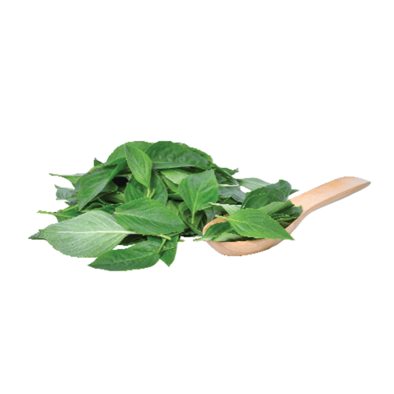 Sprouts Organic Basil