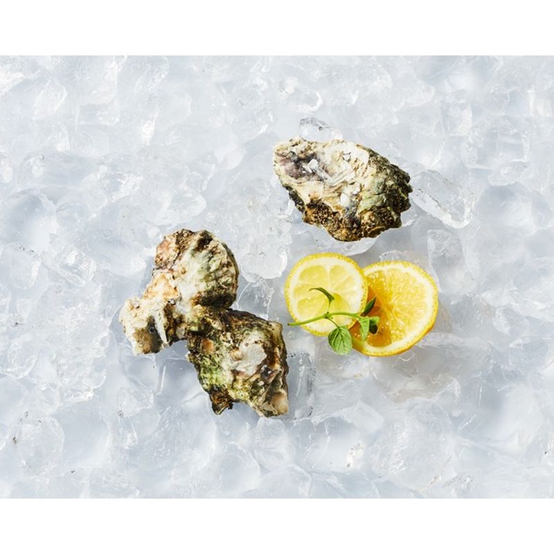Jolly Roger Fresh Pacific Oysters (10 oz) from Safeway Instacart